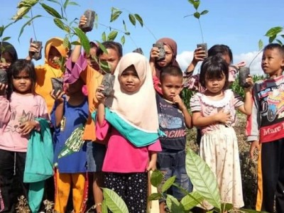 Ketidakpastian Pasar Karbon di Indonesia dan Regulasinya